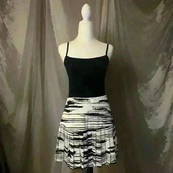 Abstract Pleaded Skirt - Picture 1 of 2
